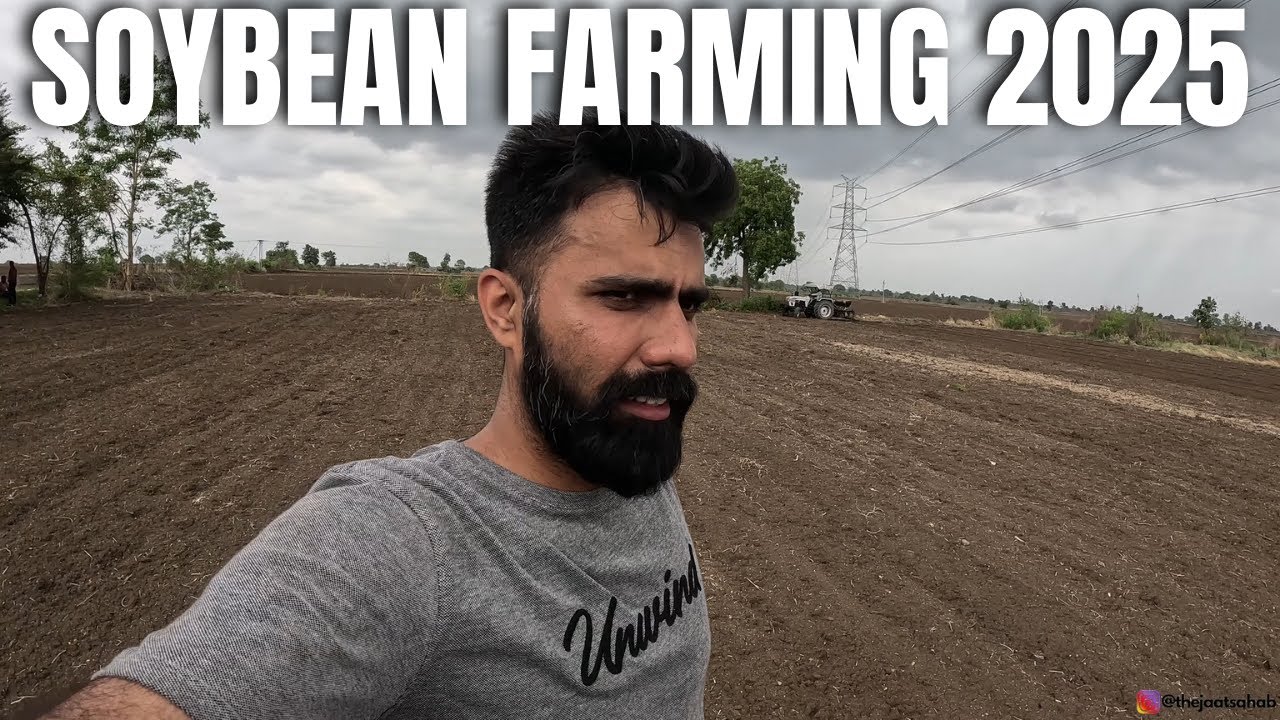 Soybean Farming Experience | is it easy ? #vlog206