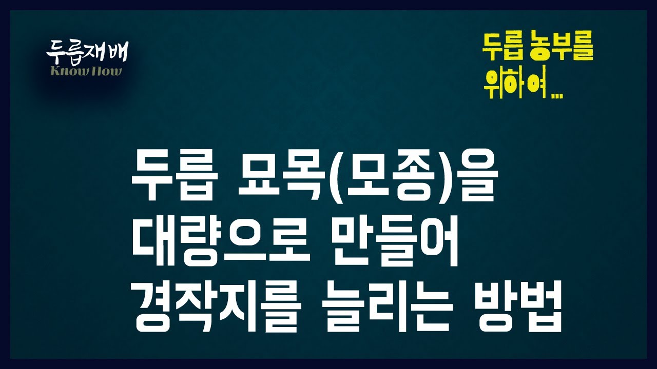 두릅 묘목을 많이 만드는 방법에 대해 알려드립니다.