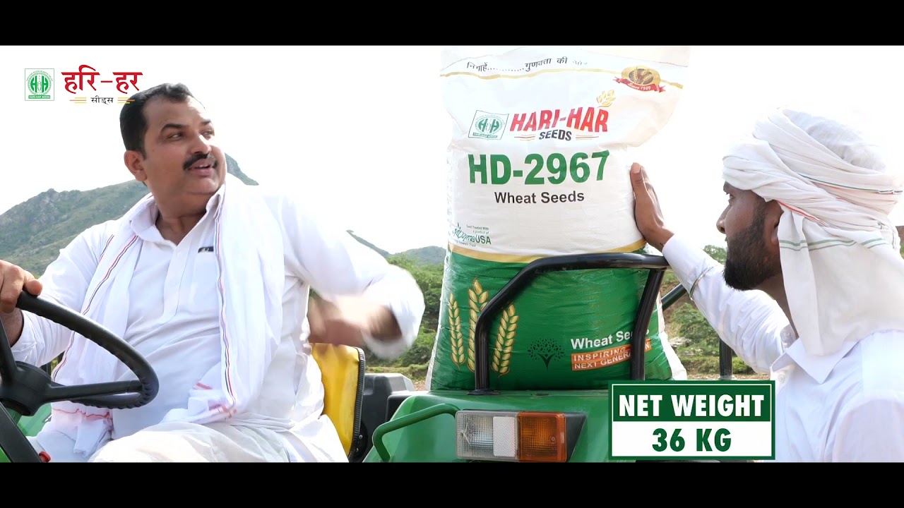 Hari-Har Seeds |Cytozyme Treated Wheat Seed