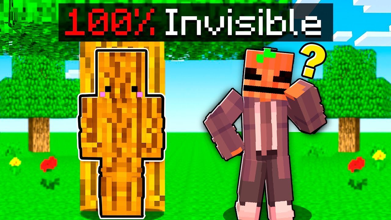 I cheated with hacks in the Minecraft hide-and-seek game