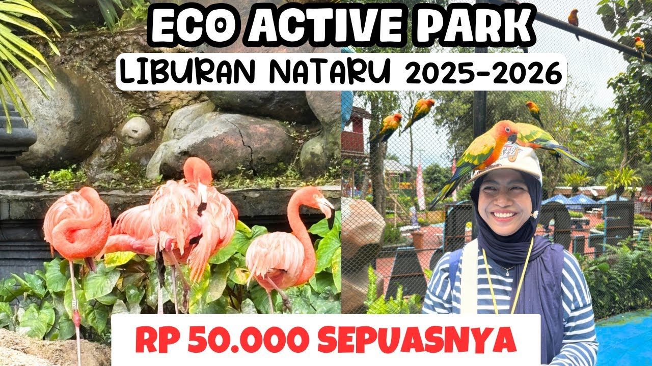 Rp 50.000 SEPUASNYA MAIN DI ECO ACTIVE PARK JATIM PARK 2 | ECO ACTIVE PARK | JATIM PARK 2