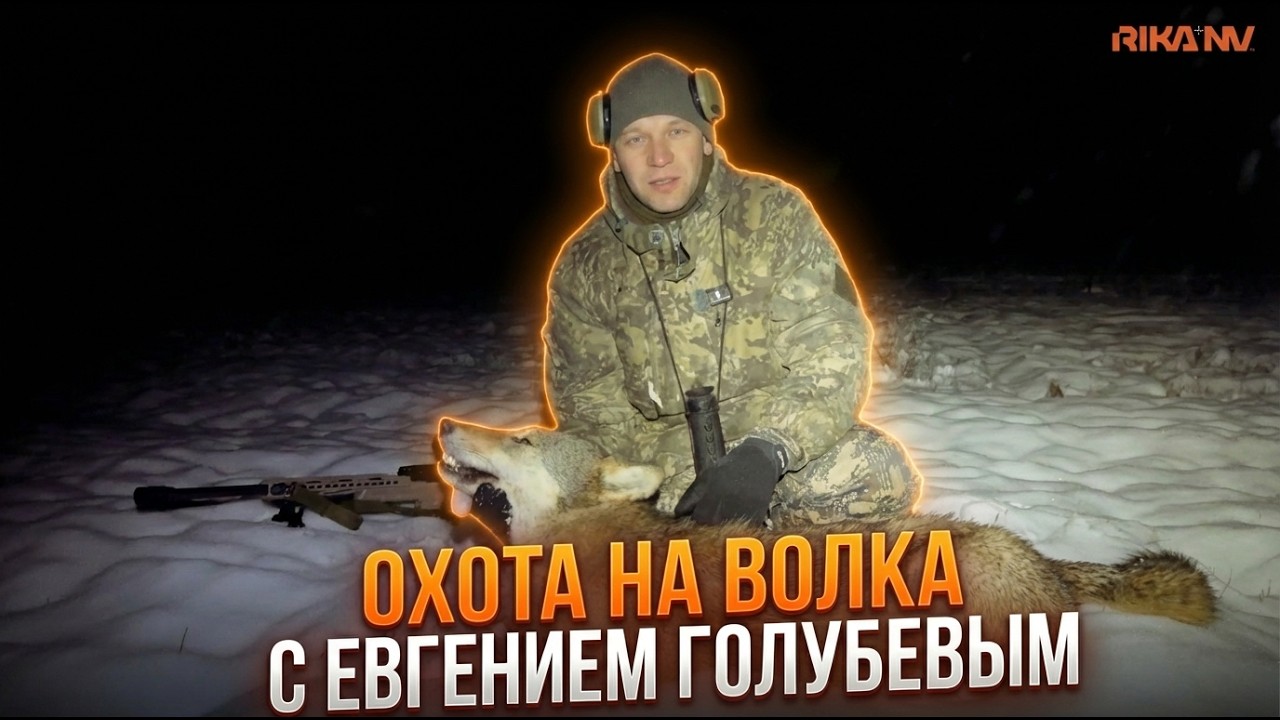 Охота на волка с Евгением Голубевым: реальный тест RikaNV Lesnik2 650L и Hypnose2 650L