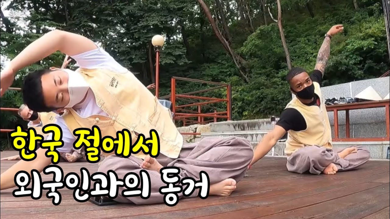 절에서 외국인과의 기묘한 동거 [절 한달살기2]