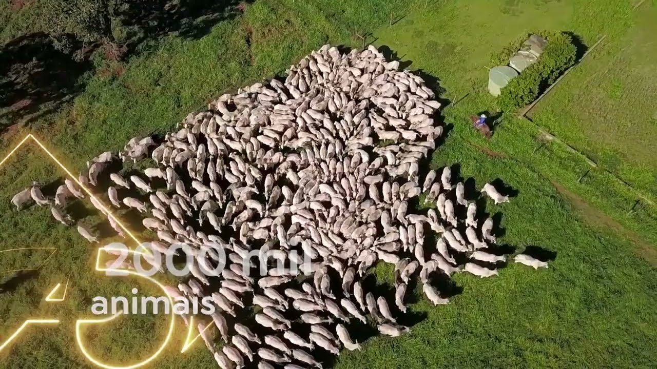 EAO - FAZENDA REUNIDAS UBERABA
