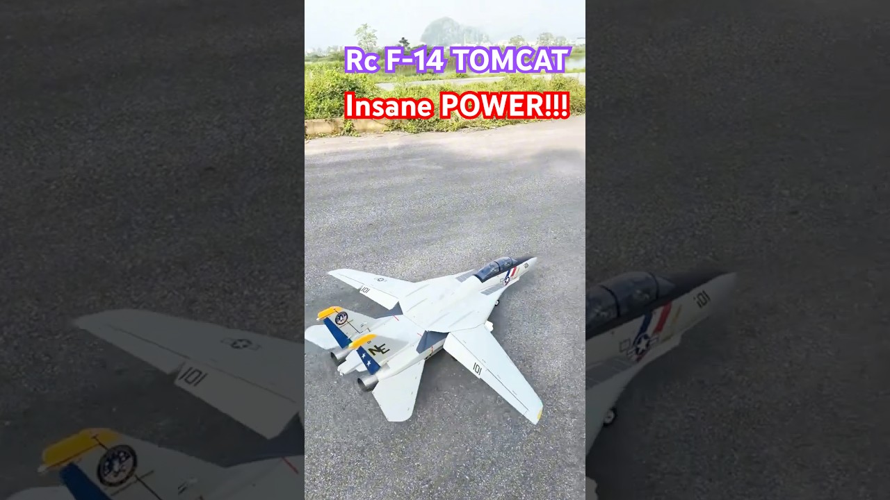 💥 RC F-14 Tomcat &mdash; Insane Power and Smooth Landing! 🚀