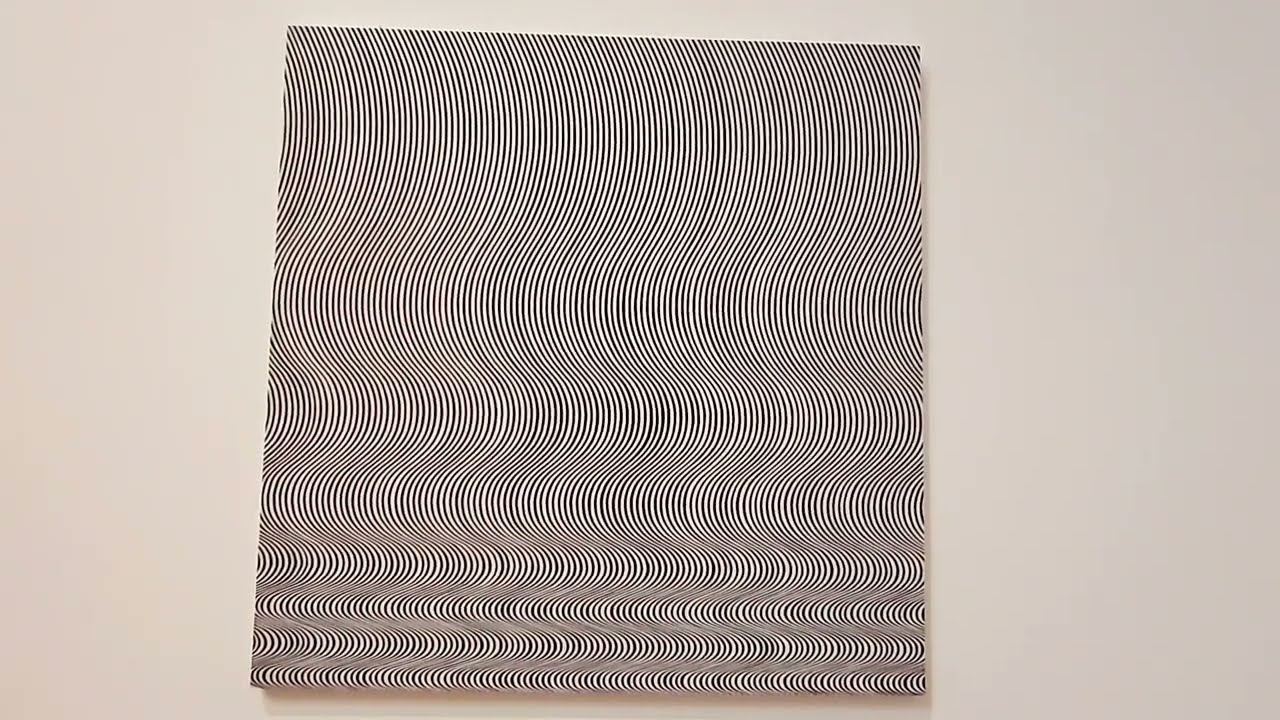 THE TATE BRITAIN Lines Various works BRIDGET RILEY