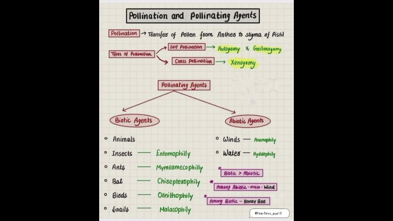 Pollination and POLLINATING AGENTS neet/cuet