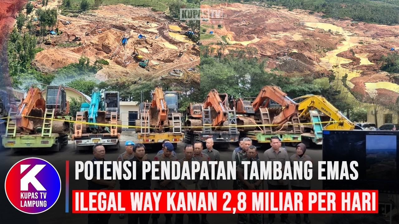 Tambang Emas Ilegal Way Kanan Produksi 1.575 Gram dan Potensi Pendapatan 2,8 Miliar per Hari
