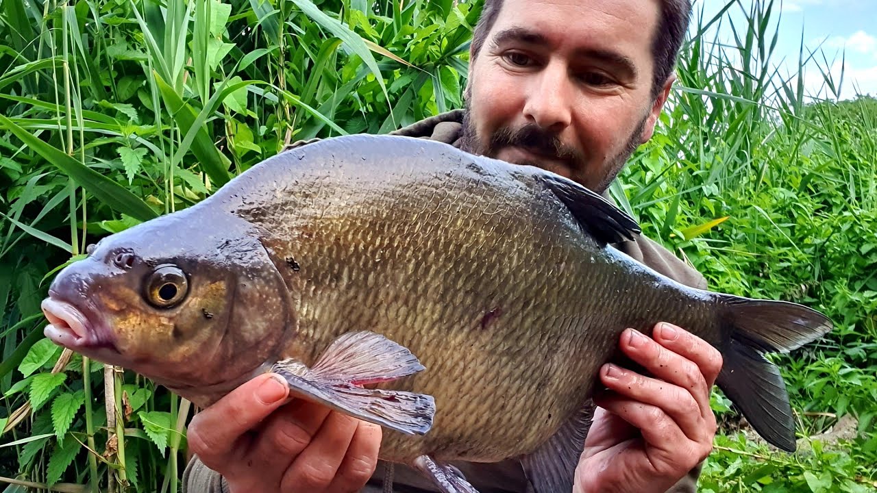 River Thames fishing