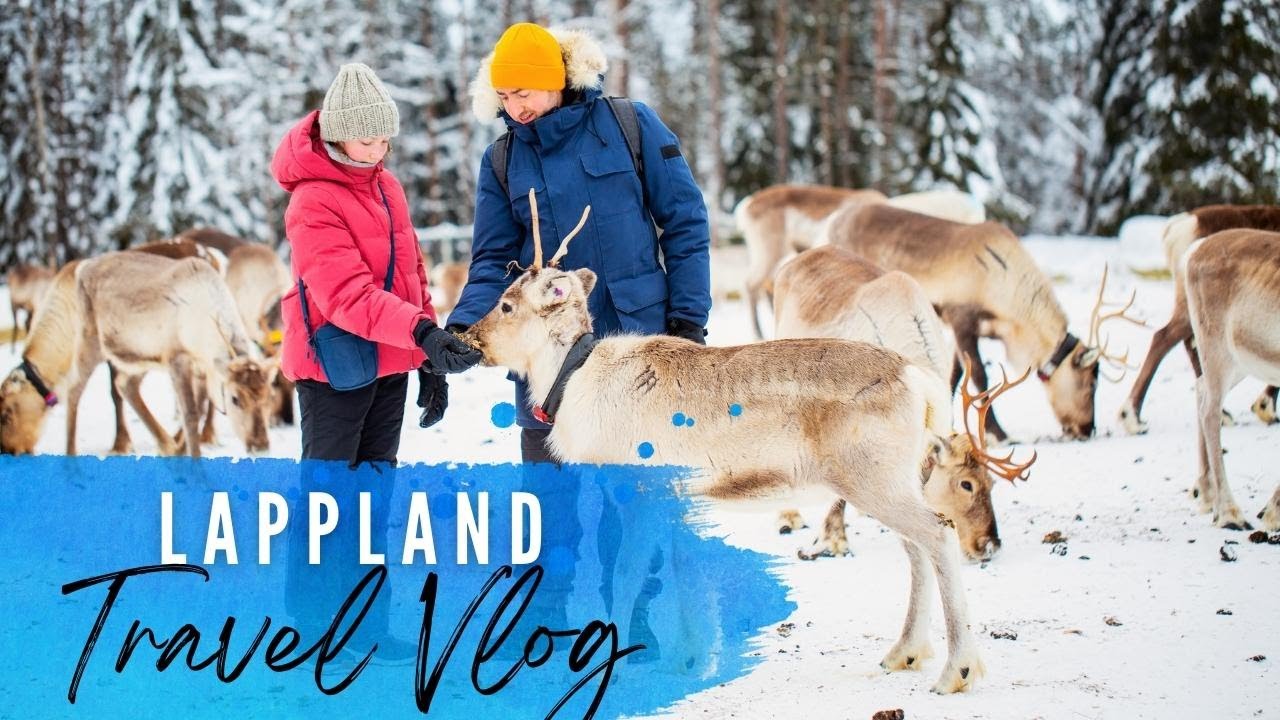 Lappland (2) Rentier Farm und Nachtwanderung in Rovaniemi, Februar 2022