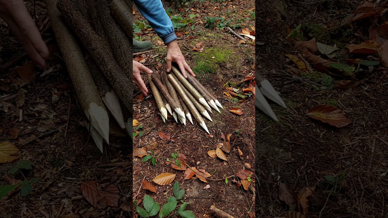 Survival bushcraft Skills #survival #camping #lifehacks #outdoors #bushcraft #shorts #skills #ideas