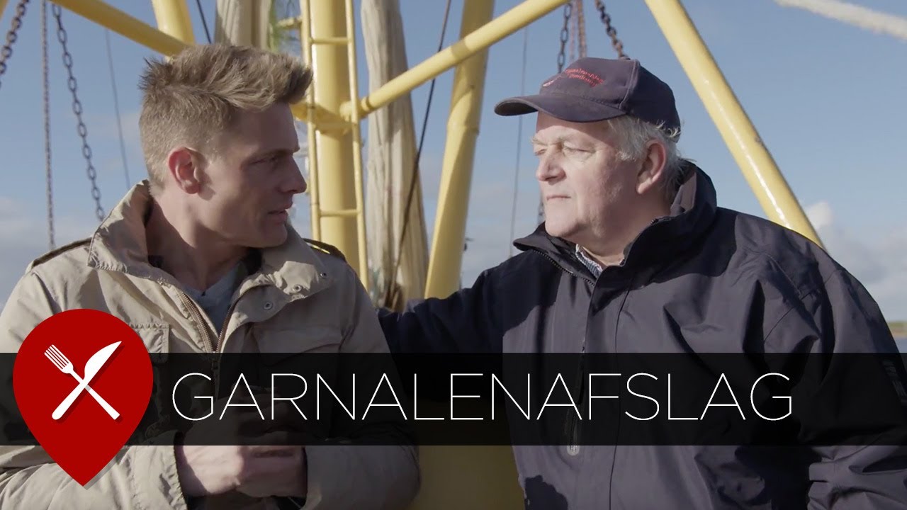 Garnalenafslag Goldshrimp Zoutkamp
