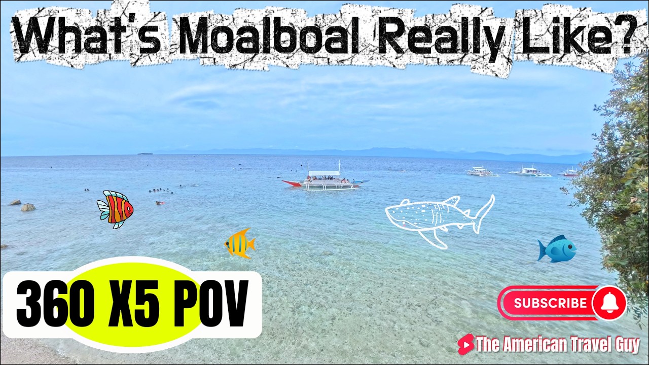 What Is Moalboal REALLY Like? 🇵🇭 | FPV Walk Through Paradise (Feb 2026)