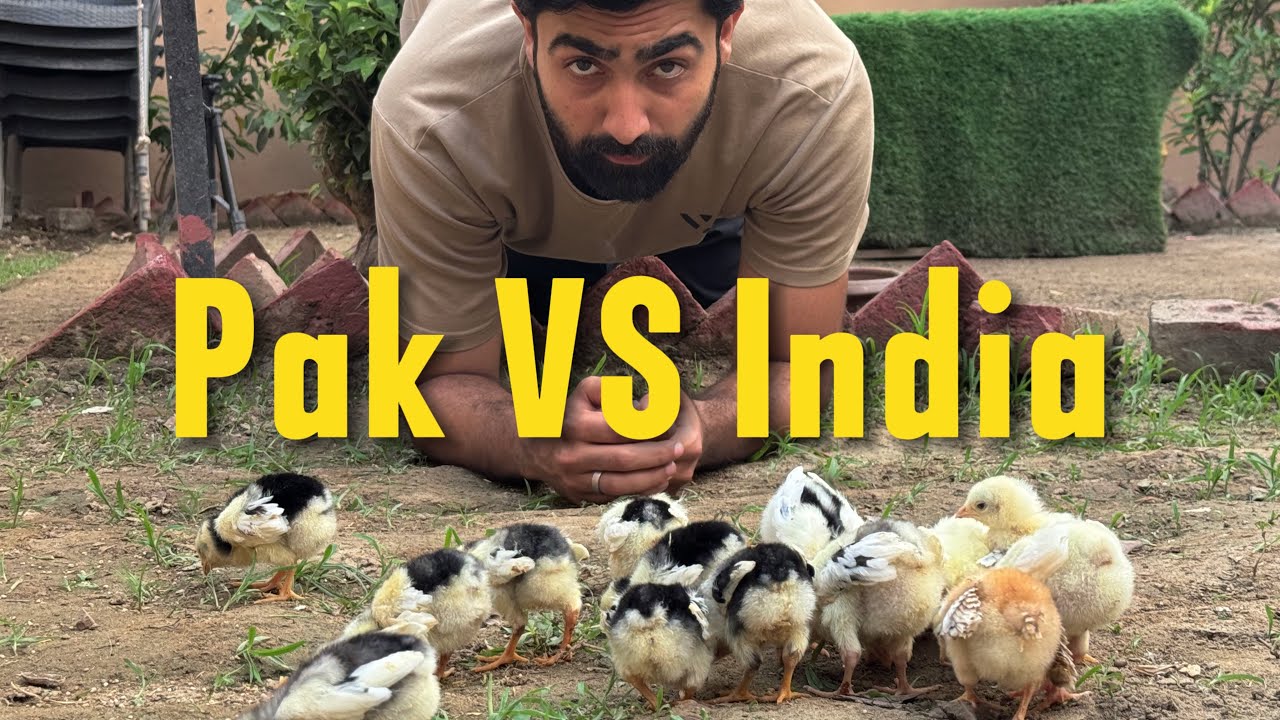 INDIAN PARROTBEAK IN PAKISTAN!