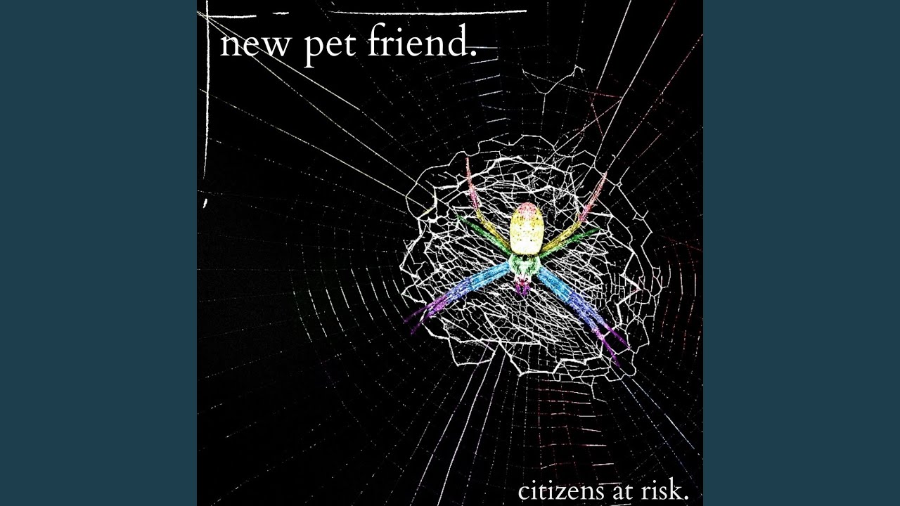 New Pet Friend (Portugese Version)