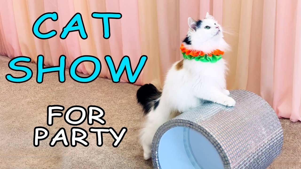 CAT SHOW for ONLINE Birthday Party for kids || THE SAVITSKY CATS