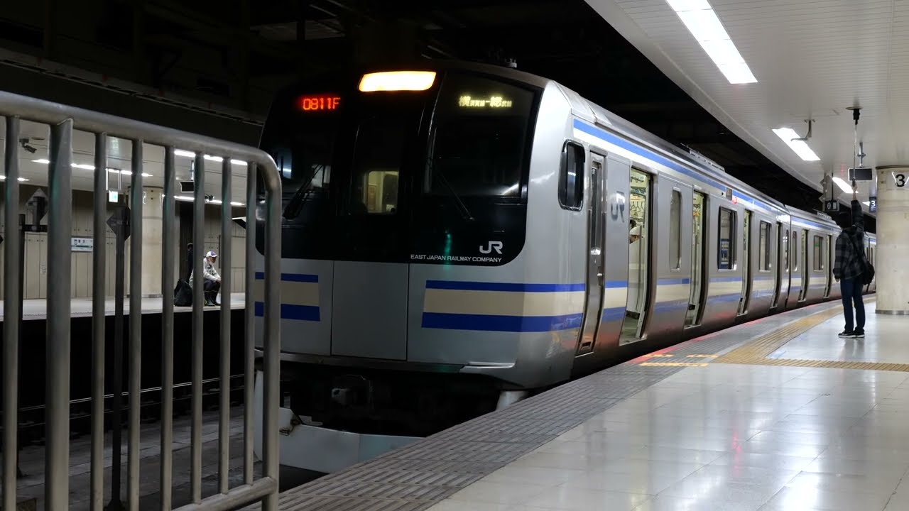 E217系 東京駅発車