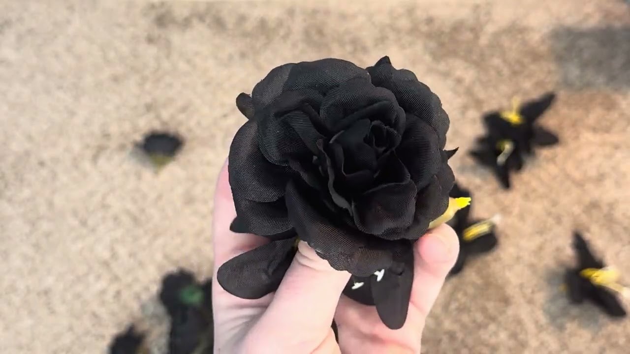 See The Features Of These Flowers!