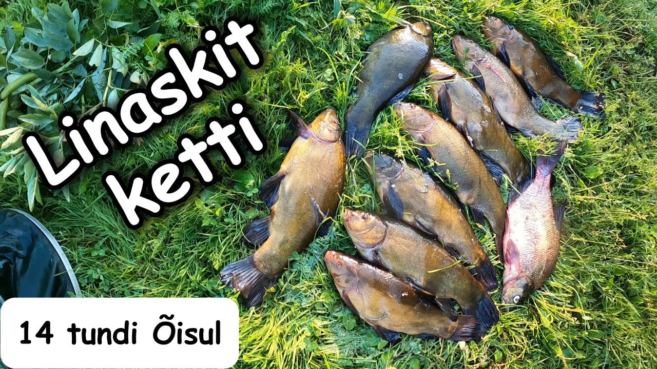 Õisu järvel linaskil - Ööpüük