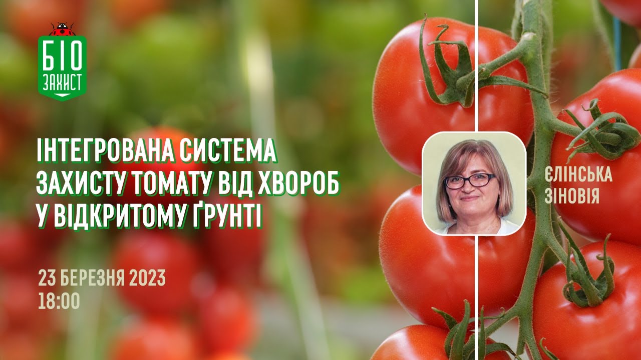 Вебінар 🔥  Інтегрована система захисту томату від хвороб у відкритому ґрунті.