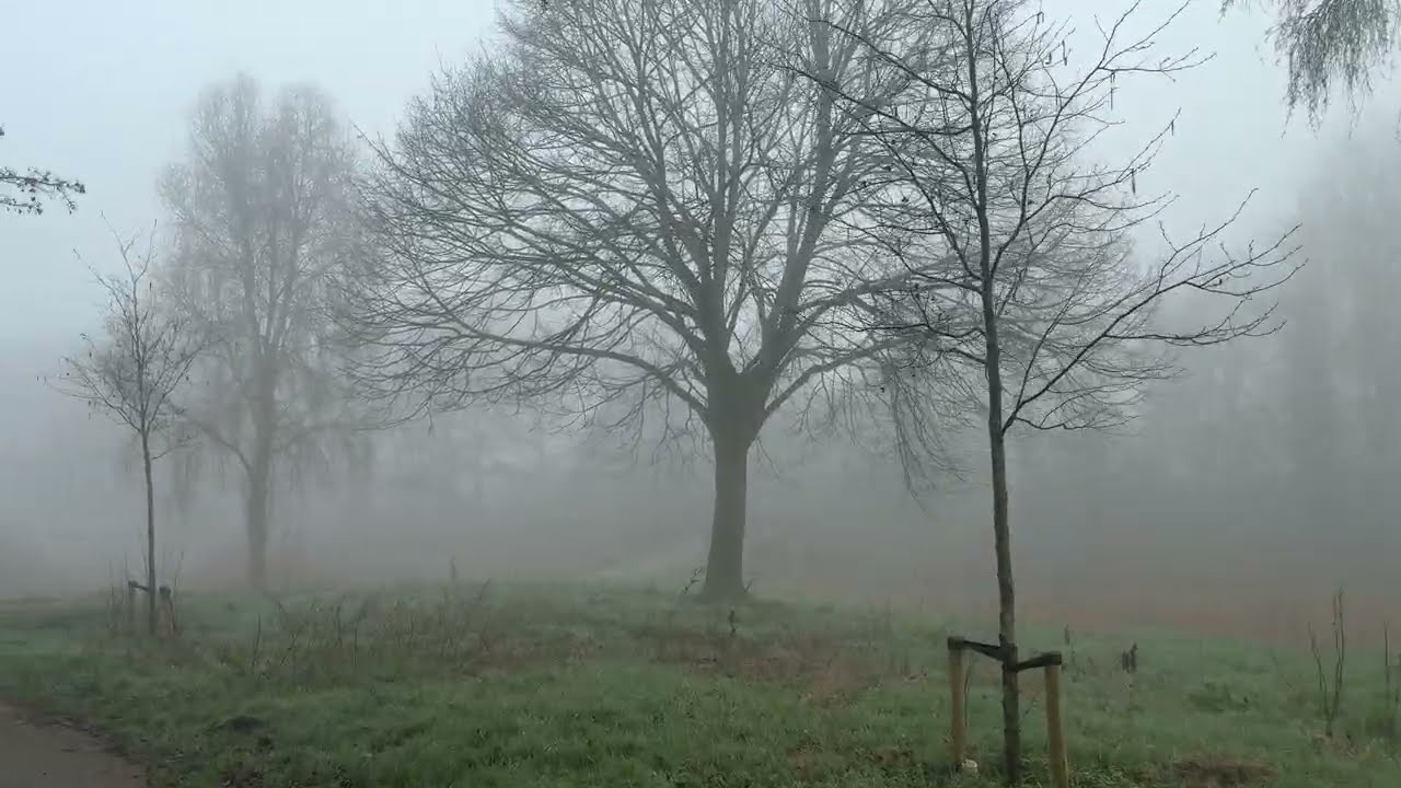 Desabafo de um desenvolvedor na gringa…