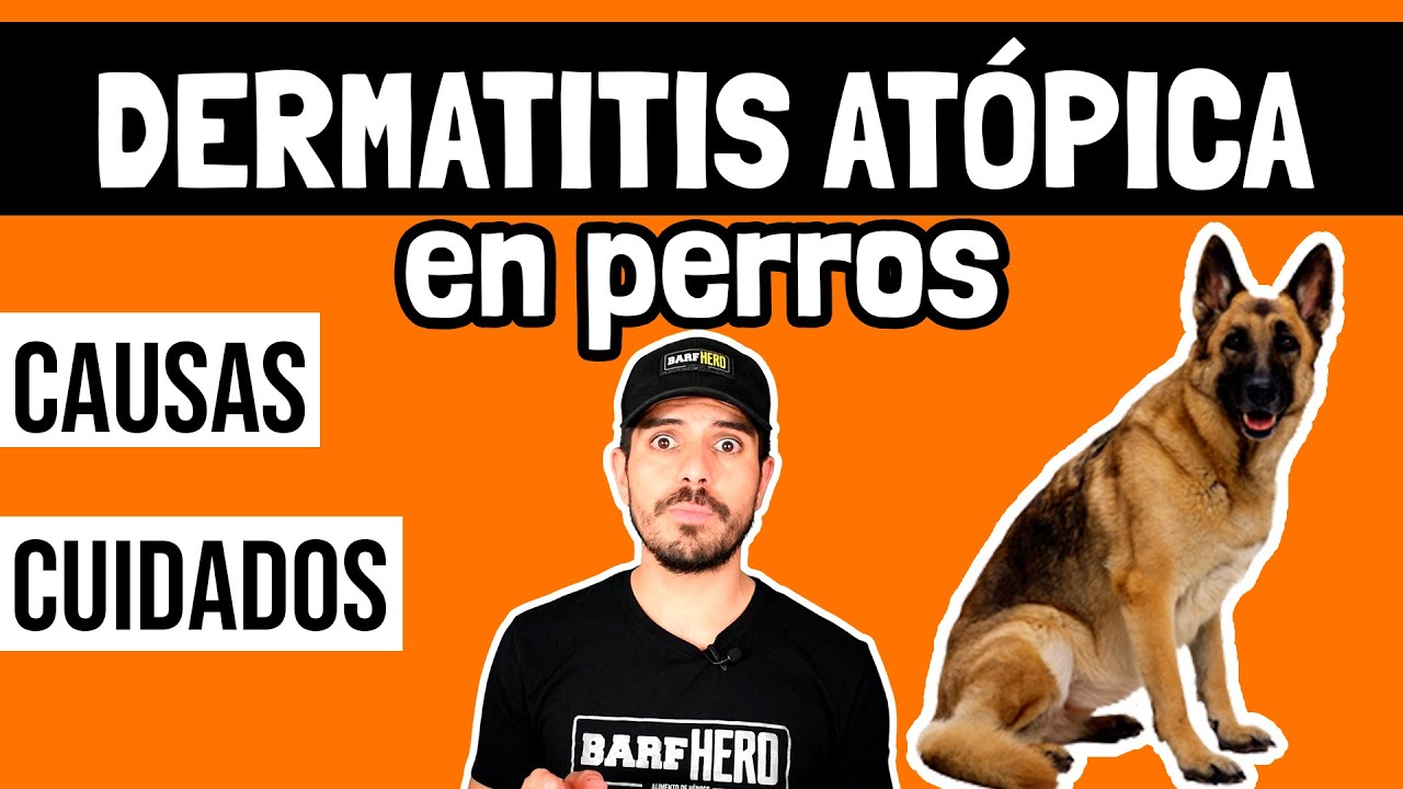 Dermatitis Atópica en PERROS - Causas y Cuidados