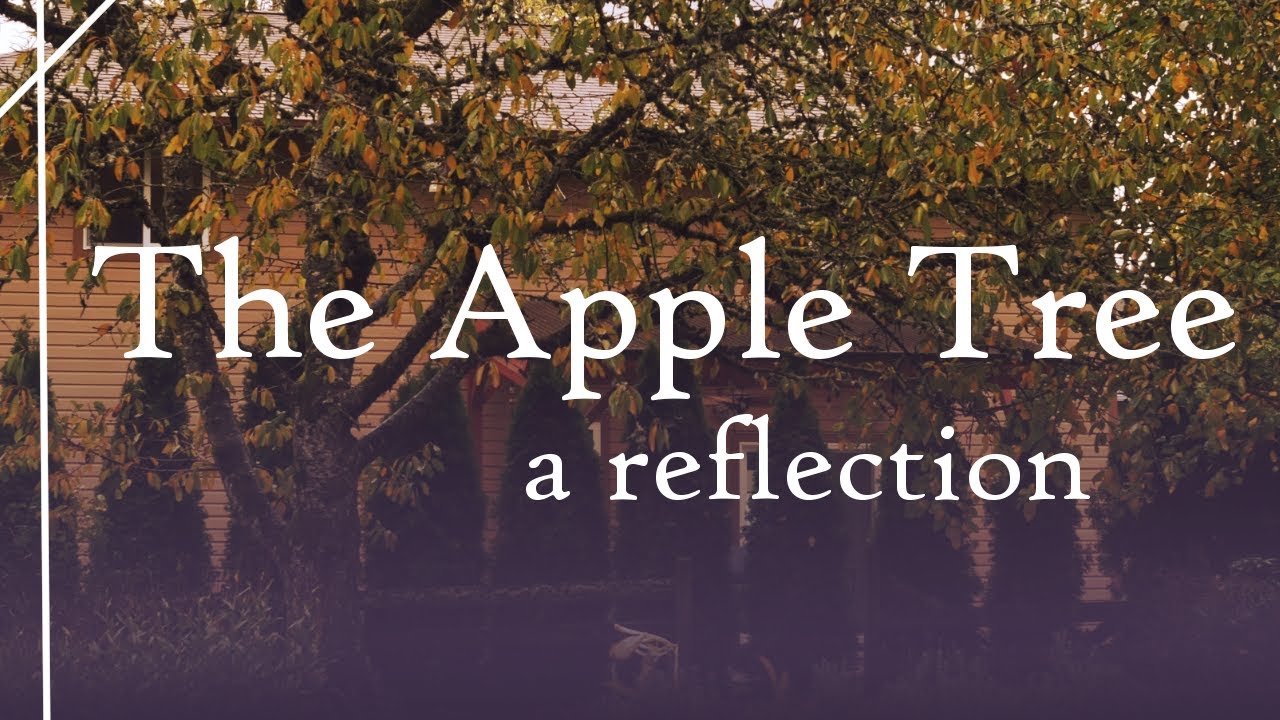 The Apple Tree