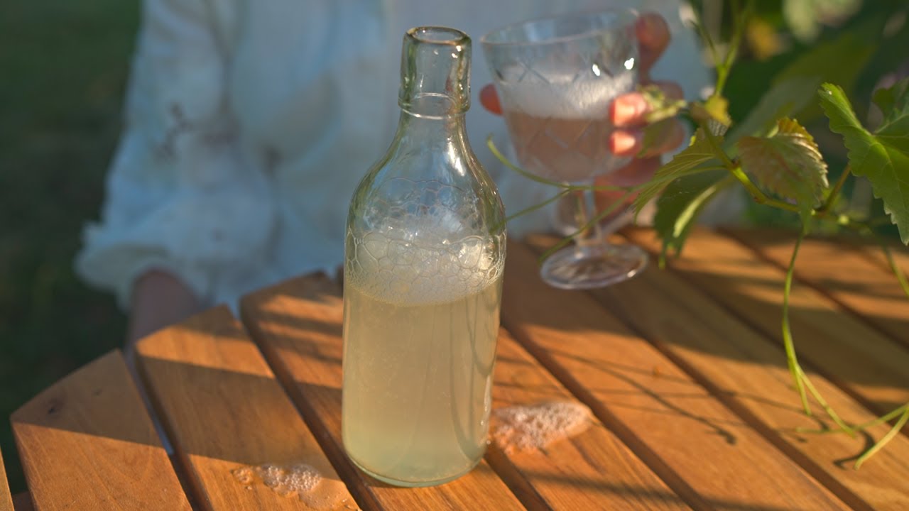 Elderflower Champagne