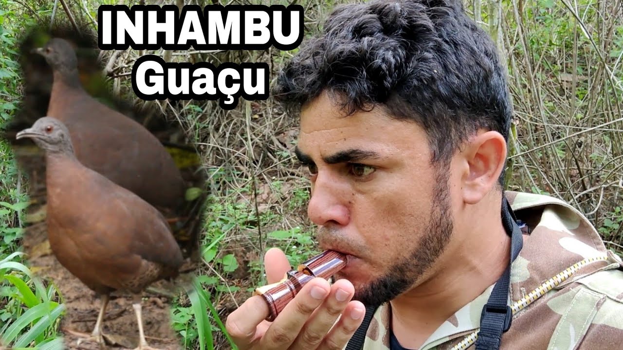 INHAMBU Gua&ccedil;u