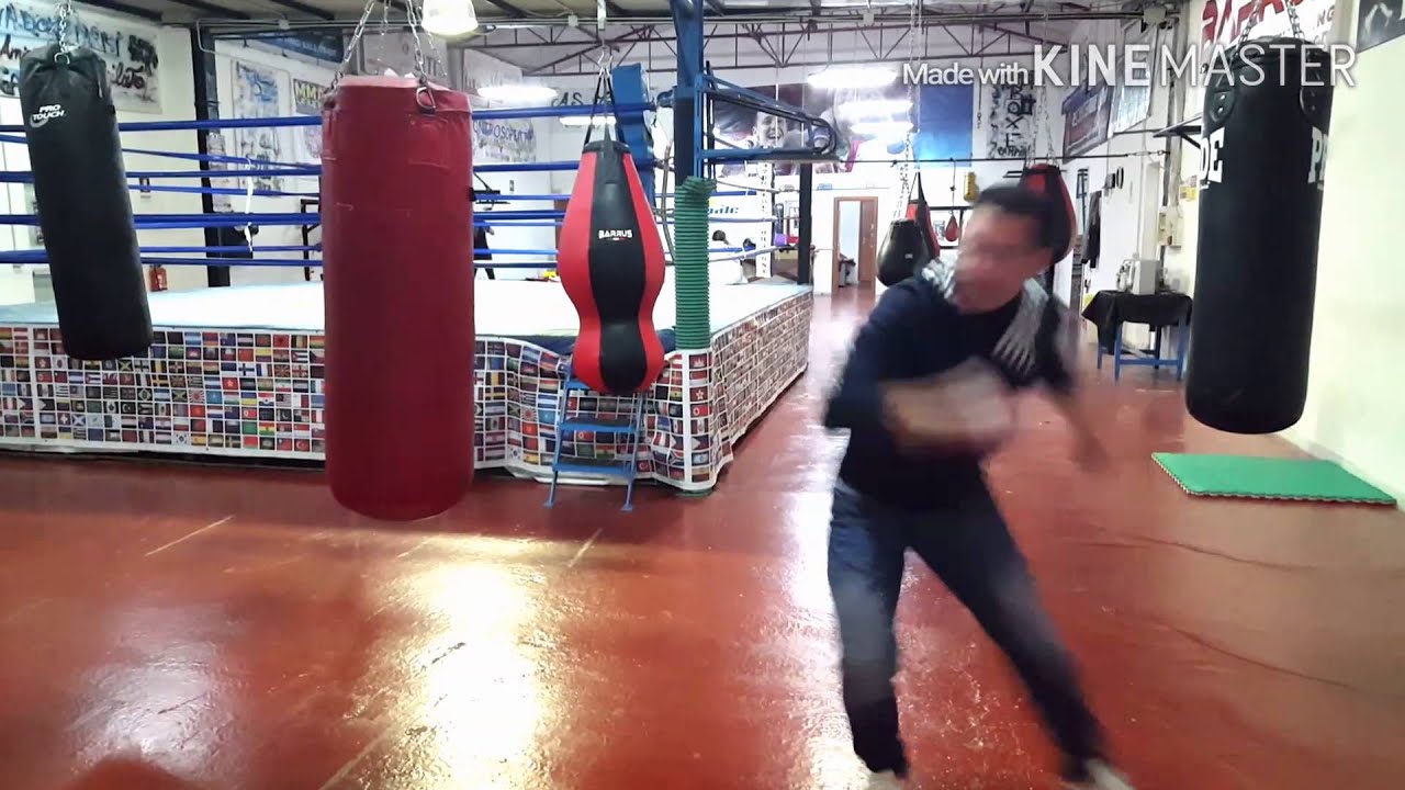 Taekwondo iadevaia latina circeo