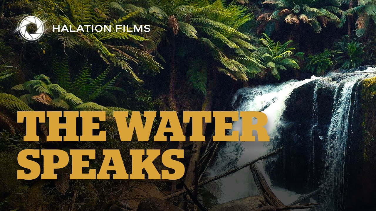 The Water Speaks | Cinematic Nature Film