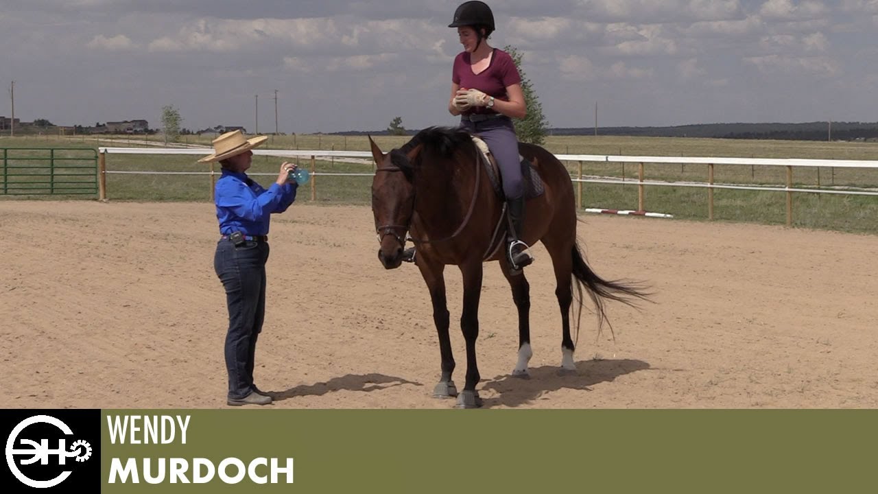 An Aid for Riders with Wendy Murdoch