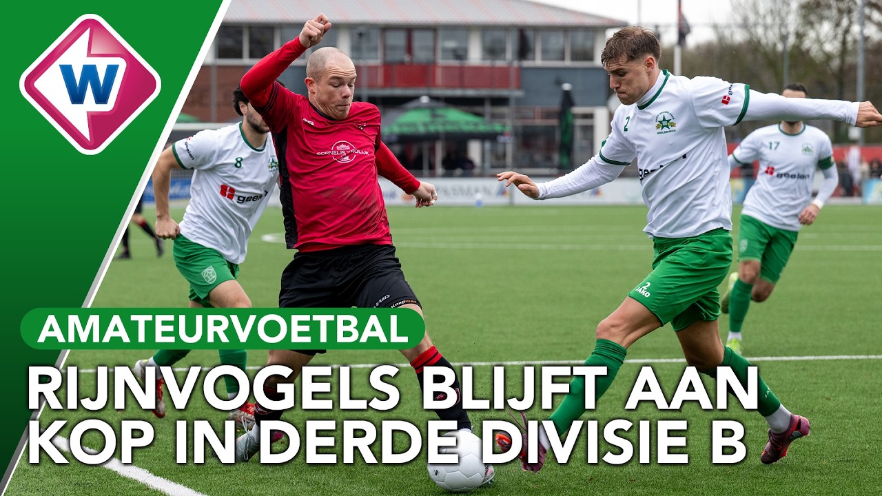 Samenvatting FC Rijnvogels - Groene Ster | Derde Divisie B (28-02-2026)