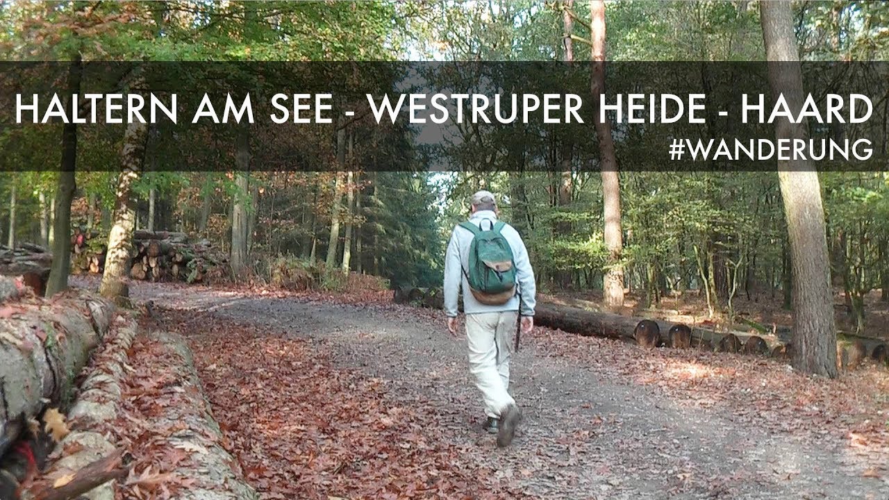 🥾 Haltern am See - Westruper Heide - Haard | Wanderung