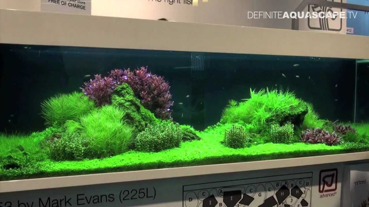 Aquascaping - Tropica planted aquariums at InterZoo 2012