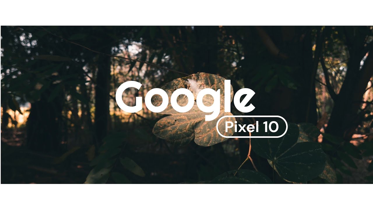 Into The Nature - Shot On Google Pixel 10 | Cinematic 4K