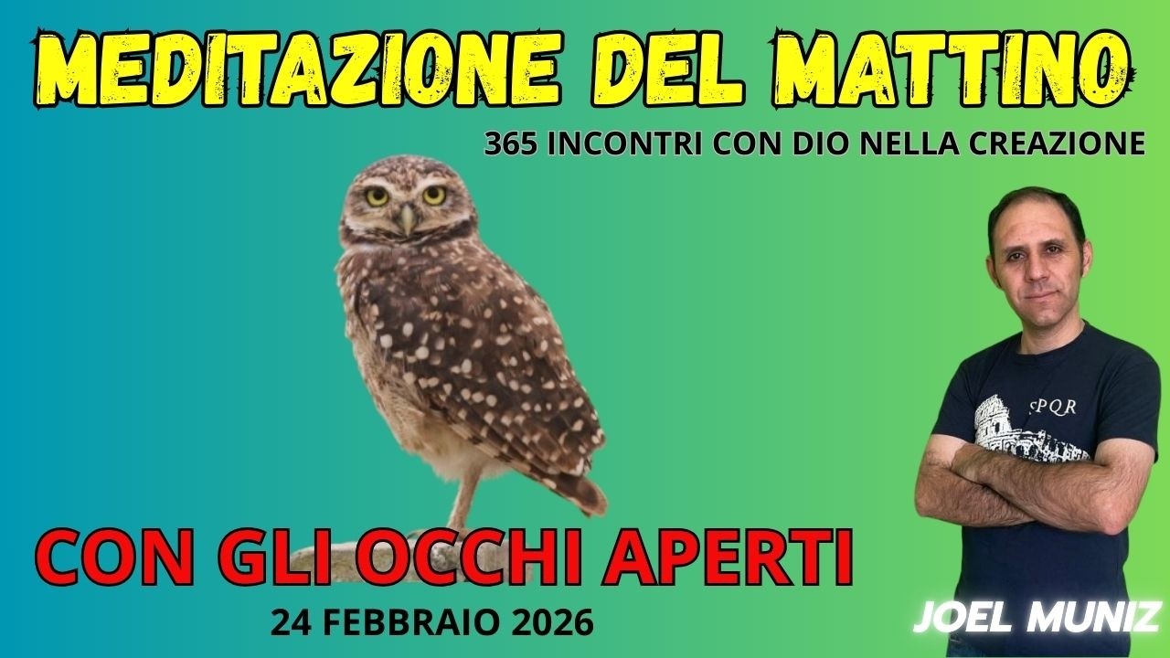 CON GLI OCCHI APERTI - 24 FEBBRAIO - MEDITAZIONE DEL MATTINO