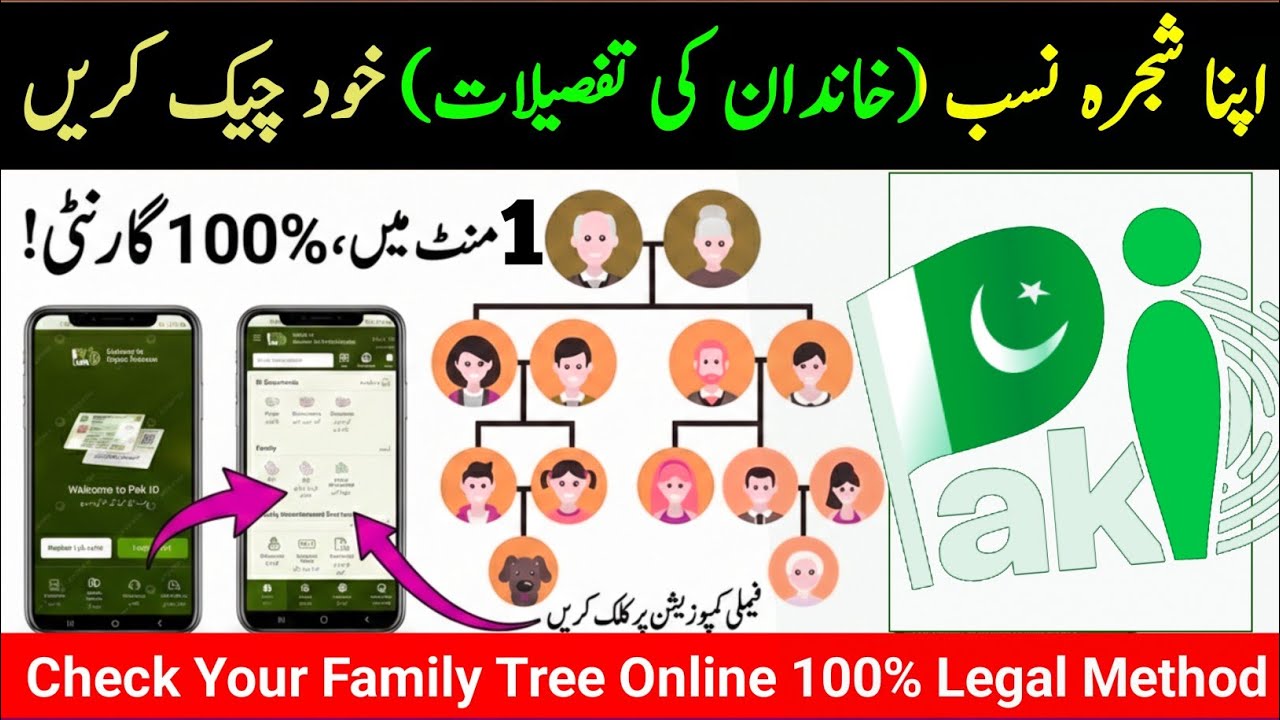 Check NADRA Family Tree on Pak Identity App |نادرا فیملی ٹری کیسے چیک کریں |Nadra Family Tree Check 