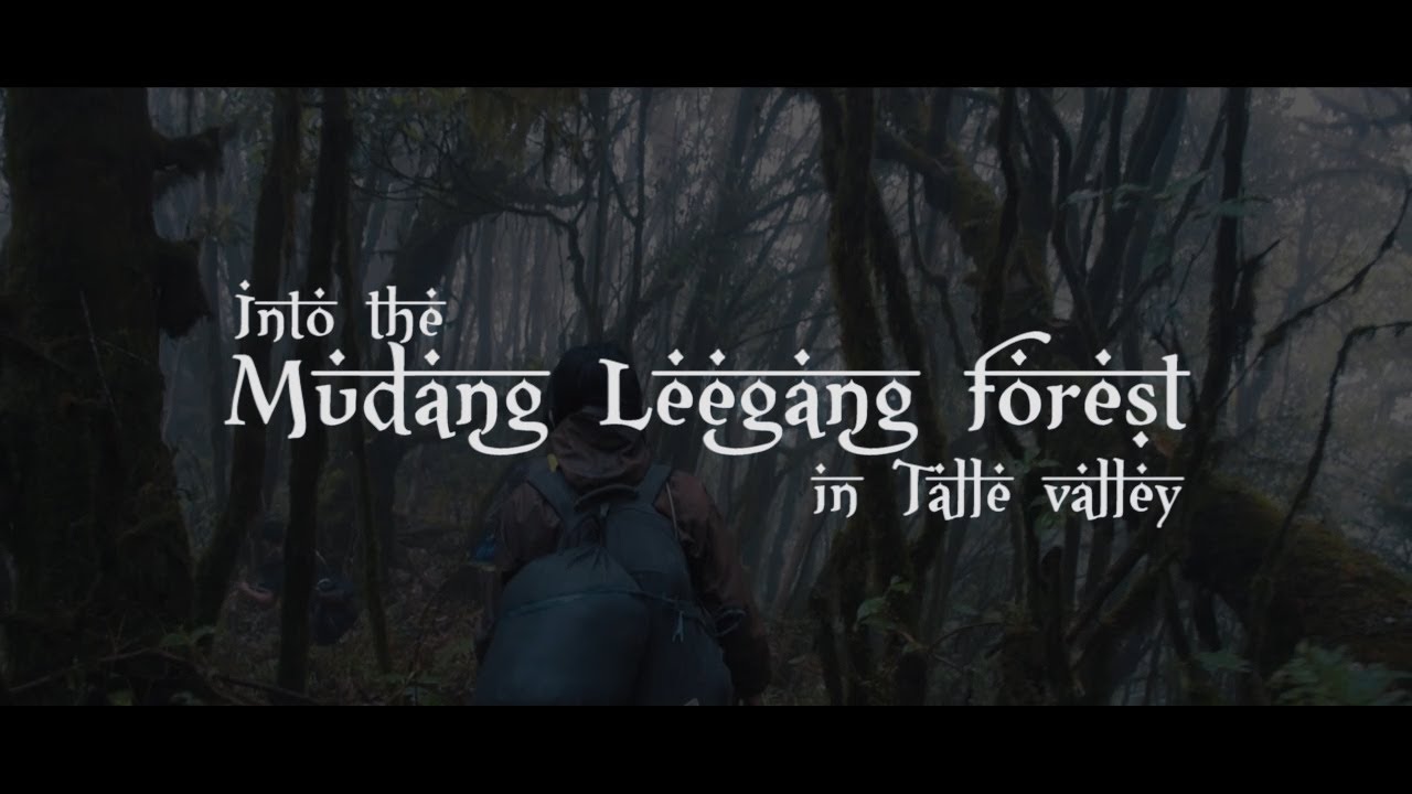 Into the Mudang Leegang forest in Talle valley