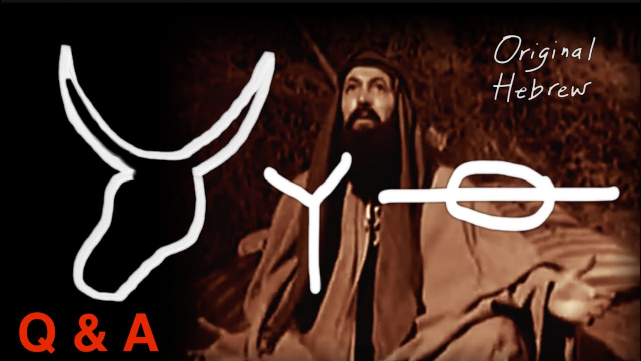 Q&A #8 | Pop Quiz, Tithes and Offerings, Protected Through Tribulation, and more