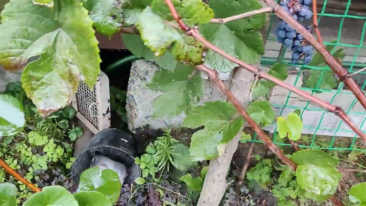 Напорный автоматический насос Gardena 3500/4E Classic