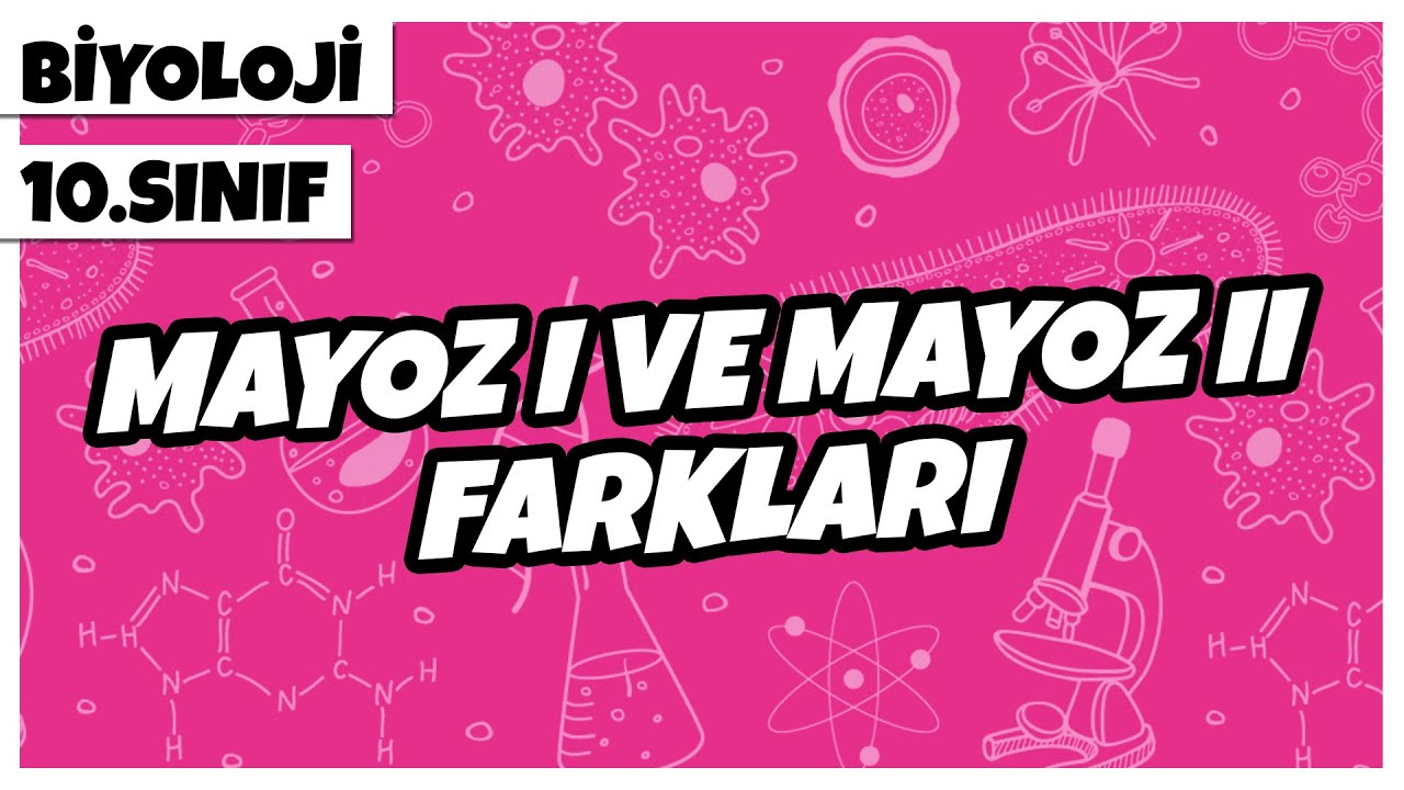 10. Sınıf Biyoloji - Mayoz I ve Mayoz II Farkları | 2022