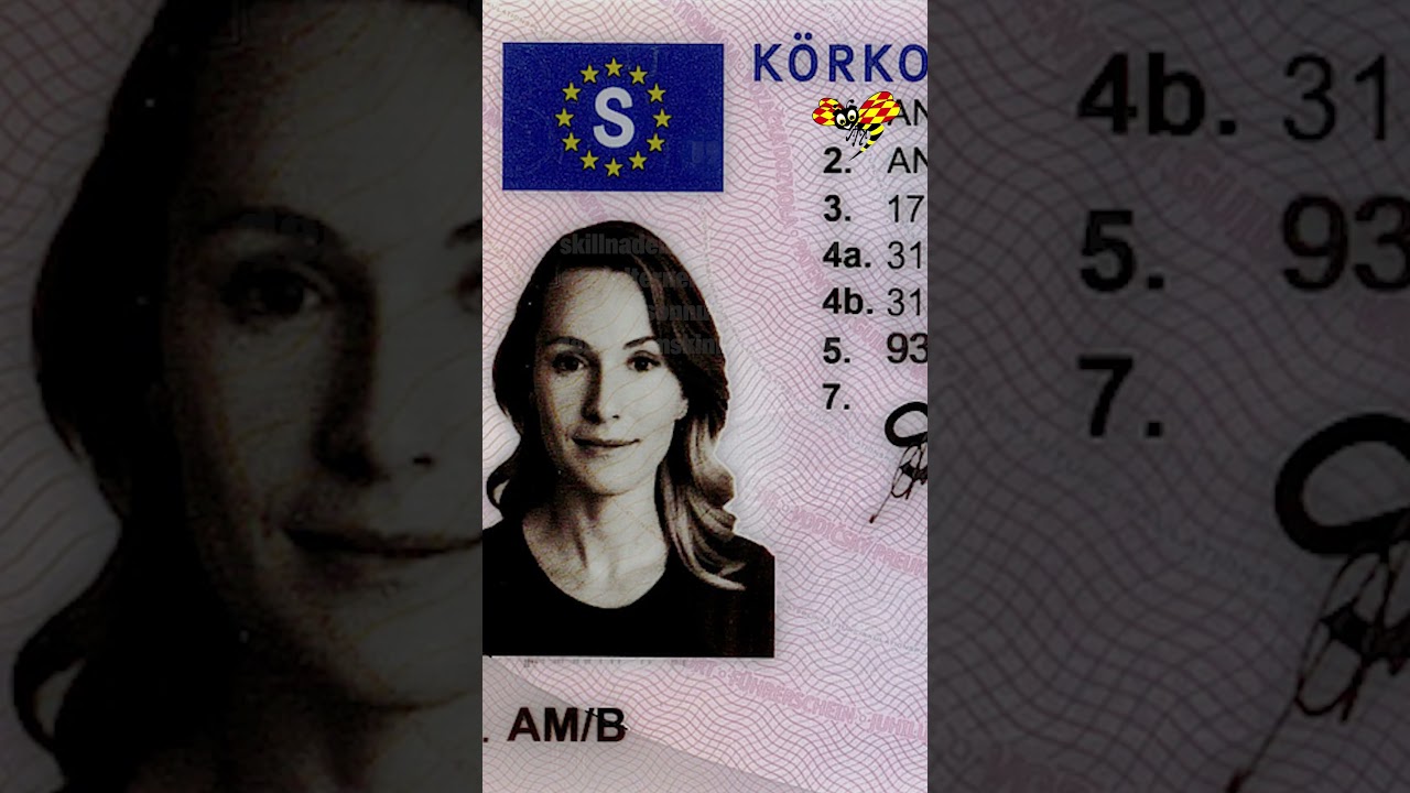 S&aring; ser det nya k&ouml;rkortet ut