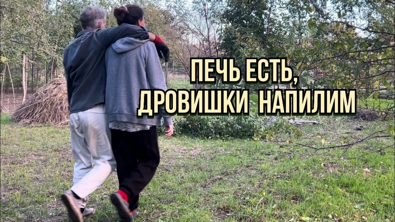 Пилим в саду. Строим во дворе #синдикилайф #переездвсербию #жизньзаграницей #ремонтдома