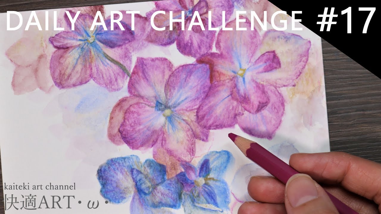 DAILY ART CHALLENGE #17 watercolor pencils illustration /hydrangea   一日一絵！水彩色鉛筆で紫陽花のイラストを描く　植物画