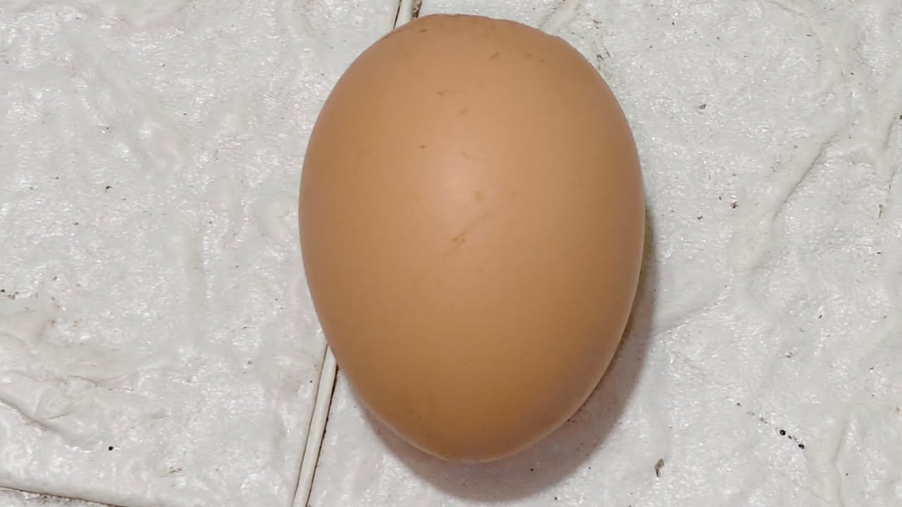 𝐄𝐧𝐭𝐞 𝐋𝐨𝐤𝐚𝐦💕 is live! Raw Egg Peeling Challenge Live 🥚 | Can I Peel Without Breaking It? #live #viral