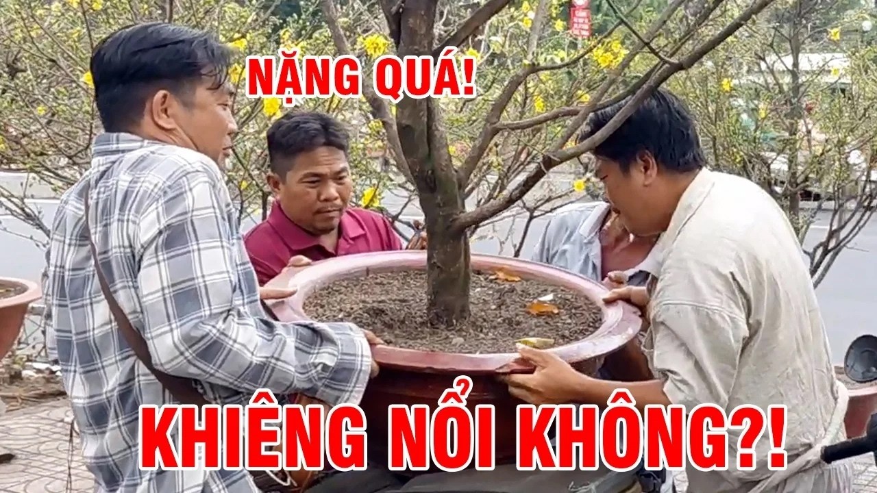 Nguyễn Trọng Hiển Official Khám Phá Chợ Hoa Tết Gia Định Sài Gòn