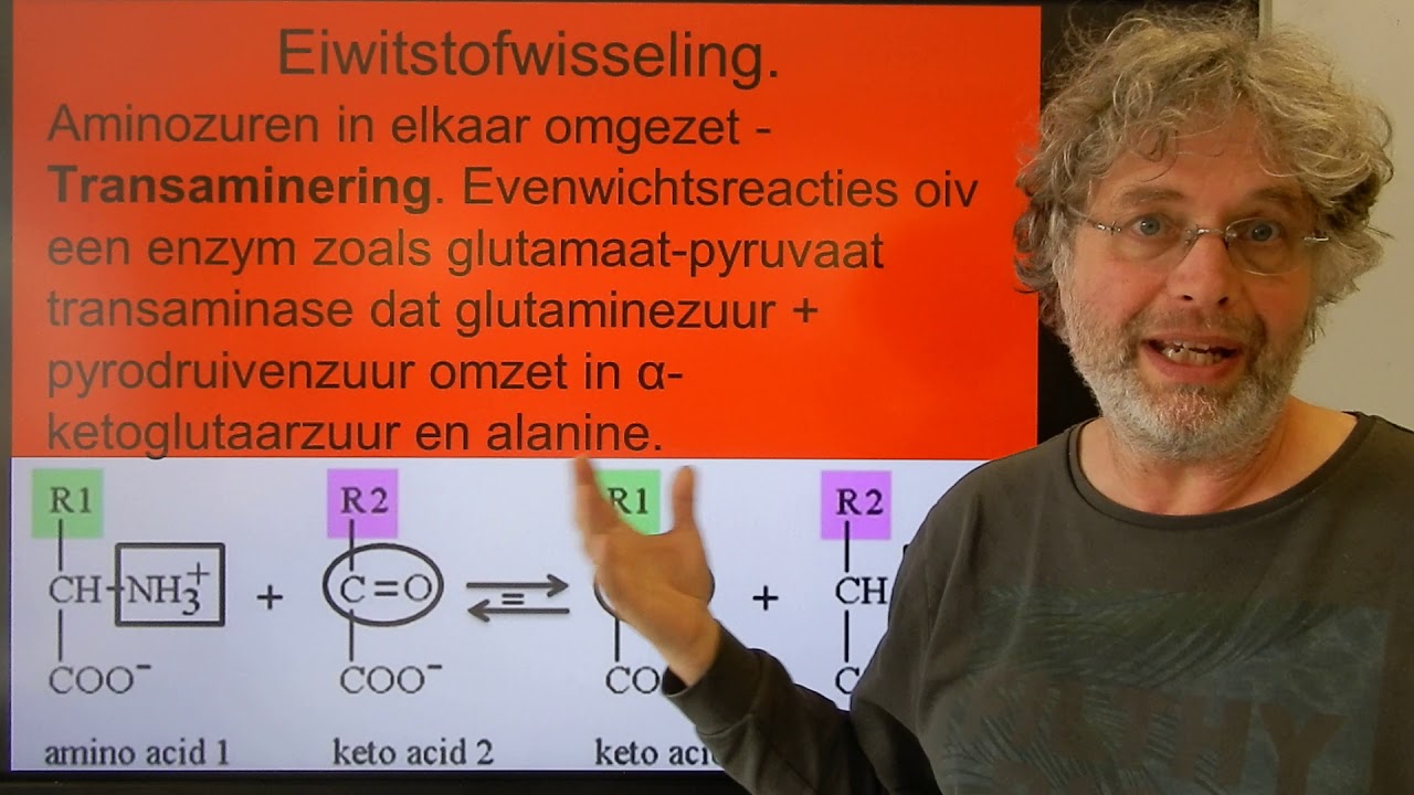 Biologie VWO BB Lever