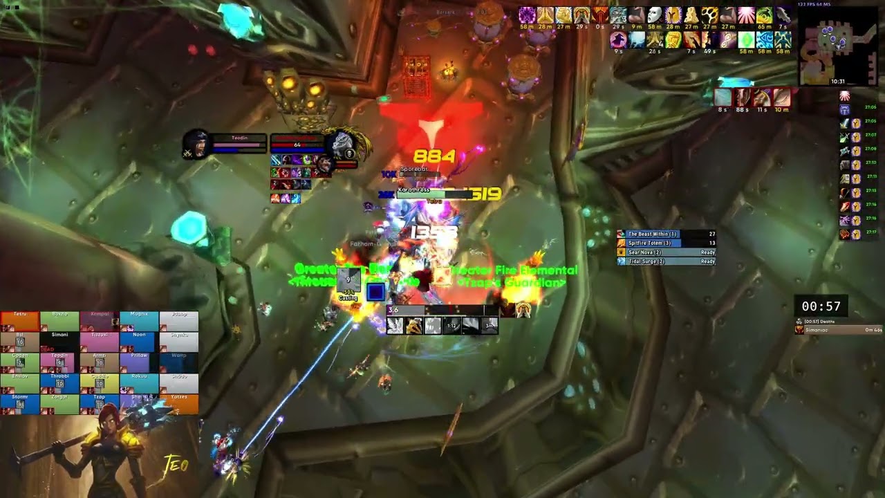 #1 World Retribution Paladin DPS Fathom-Lord Karathress | TBC Anniversary