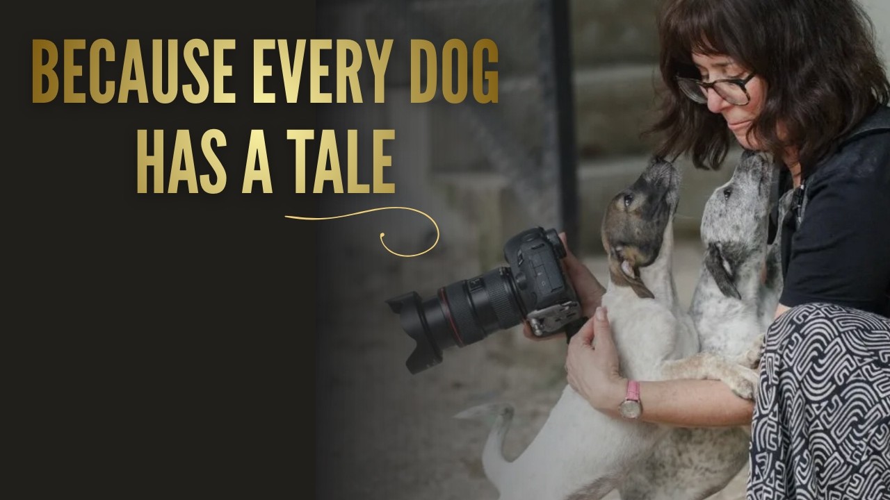 The Perspective Only a Dog Photographer Has